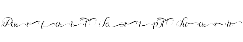 Parfait Script Swash font preview