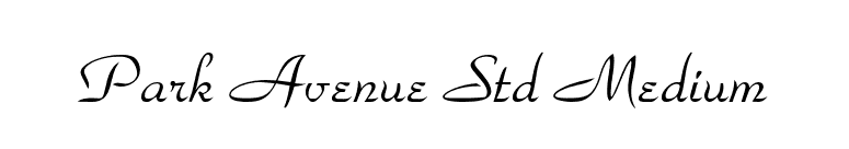 Park Avenue Std Medium font preview