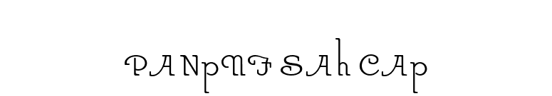 ParsnipNF Swash Caps font preview