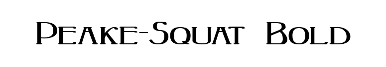 Peake-Squat Bold font preview