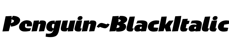 Penguin-BlackItalic font preview