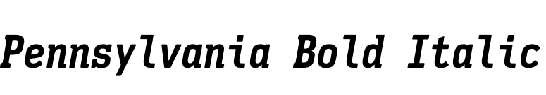 Pennsylvania Bold Italic font preview