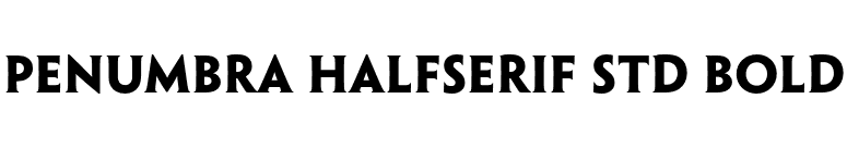 Penumbra HalfSerif Std Bold font preview