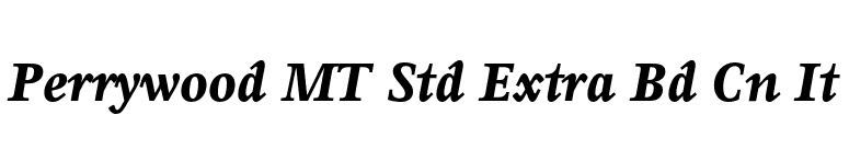 Perrywood MT Std Extra Bd Cn It font preview