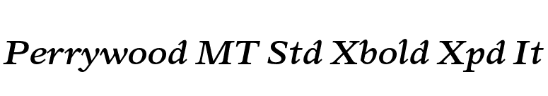 Perrywood MT Std Xbold Xpd It font preview