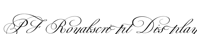 PF Royalscript Display font preview