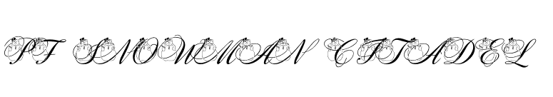 pf_snowman citadel  font preview