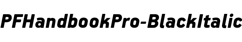 PFHandbookPro-BlackItalic font preview