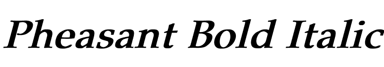 Pheasant Bold Italic font preview