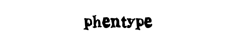 phentype font preview