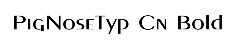 PigNoseTyp Cn Bold font preview