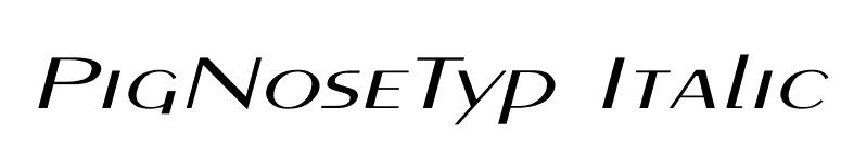PigNoseTyp Italic font preview