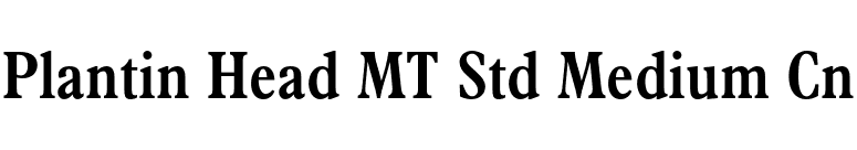 Plantin Head MT Std Medium Cn font preview