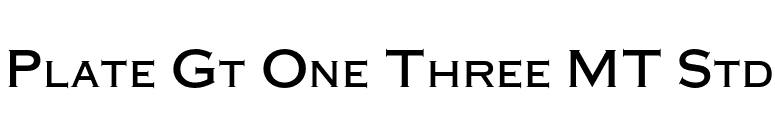 Plate Gt One Three MT Std font preview