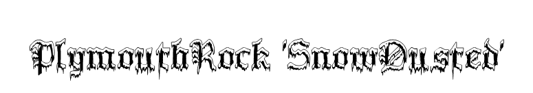 PlymouthRock 'SnowDusted' font preview