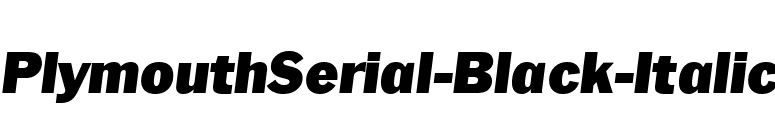 PlymouthSerial-Black-Italic font preview