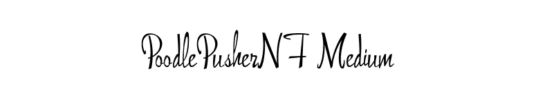 PoodlePusherNF Medium font preview