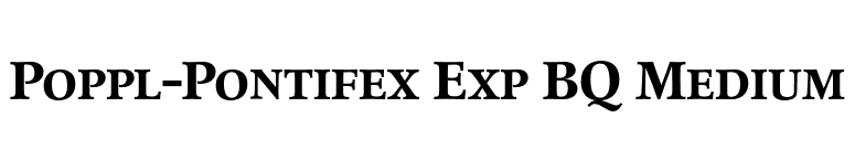 Poppl-Pontifex Exp BQ Medium font preview