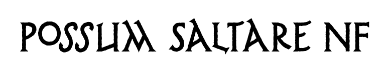 Possum Saltare NF font preview