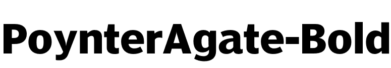 PoynterAgate-Bold font preview