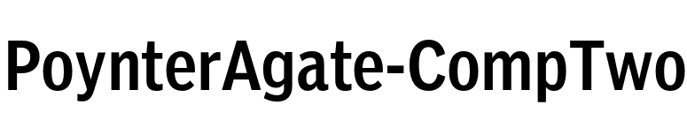PoynterAgate-CompTwo font preview