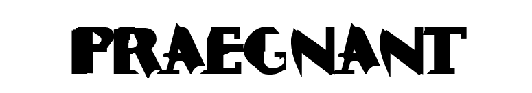 Praegnant font preview