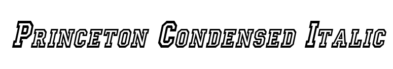 Princeton Condensed Italic font preview