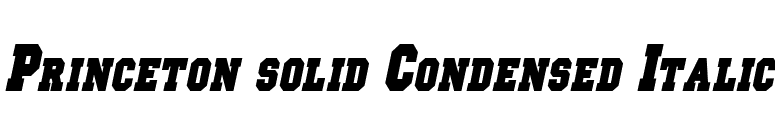 Princeton solid Condensed Italic font preview