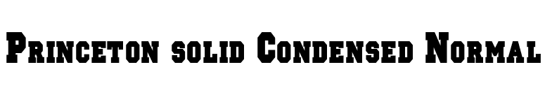 Princeton solid Condensed Normal font preview