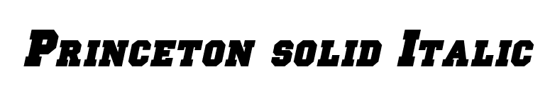 Princeton solid Italic font preview