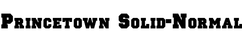 Princetown Solid-Normal font preview