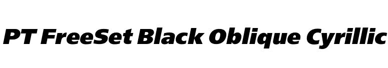 PT FreeSet Black Oblique Cyrillic font preview
