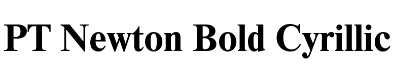 PT Newton Bold Cyrillic font preview