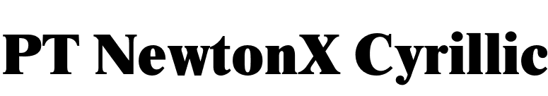 PT NewtonX Cyrillic font preview