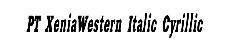 PT XeniaWestern Italic Cyrillic font preview