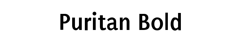 Puritan Bold font preview