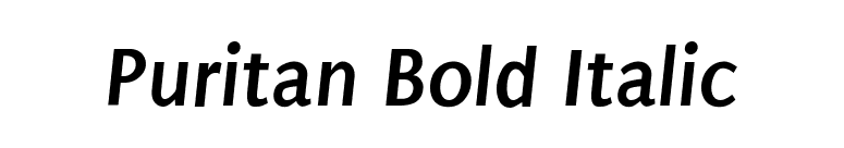 Puritan Bold Italic font preview