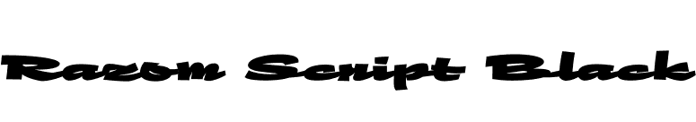 Razom Script Black font preview