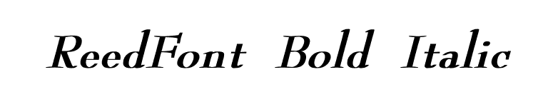 ReedFont Bold Italic font preview