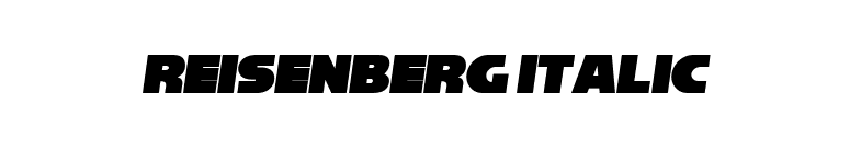 Reisenberg Italic font preview