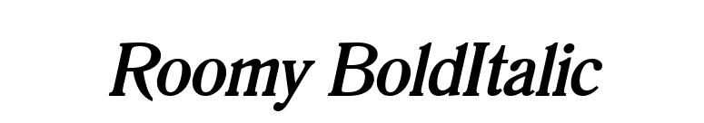 Roomy BoldItalic font preview