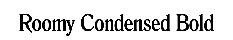Roomy Condensed Bold font preview
