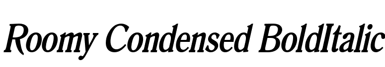 Roomy Condensed BoldItalic font preview