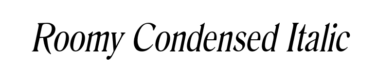 Roomy Condensed Italic font preview