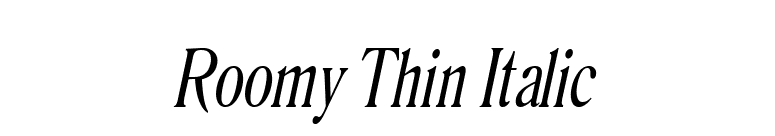Roomy Thin Italic font preview