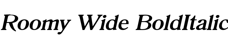 Roomy Wide BoldItalic font preview