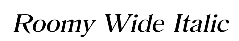 Roomy Wide Italic font preview