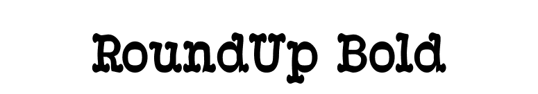 RoundUp Bold font preview