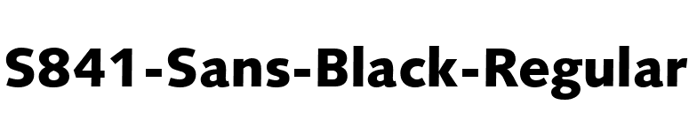 S841-Sans-Black-Regular font preview