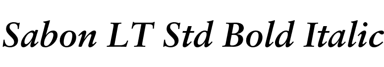 Sabon LT Std Bold Italic font preview